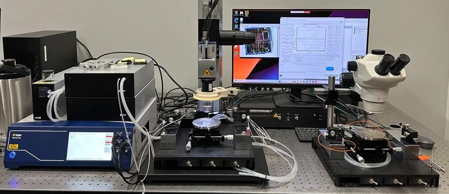 Ferroelectric characterization system with probe station and laser vibrometer
